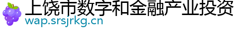 上饶市数字和金融产业投资